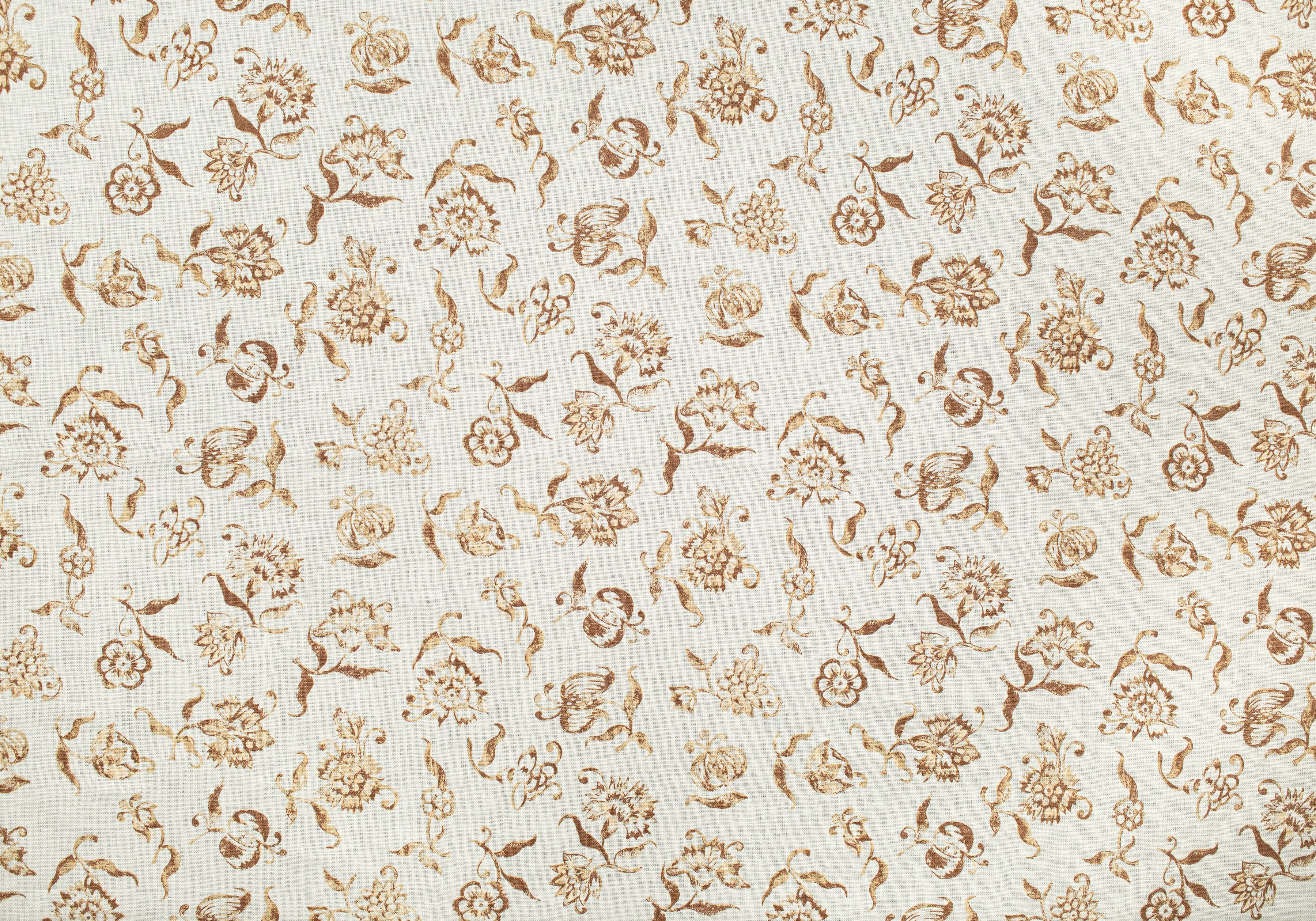Candia - Brown