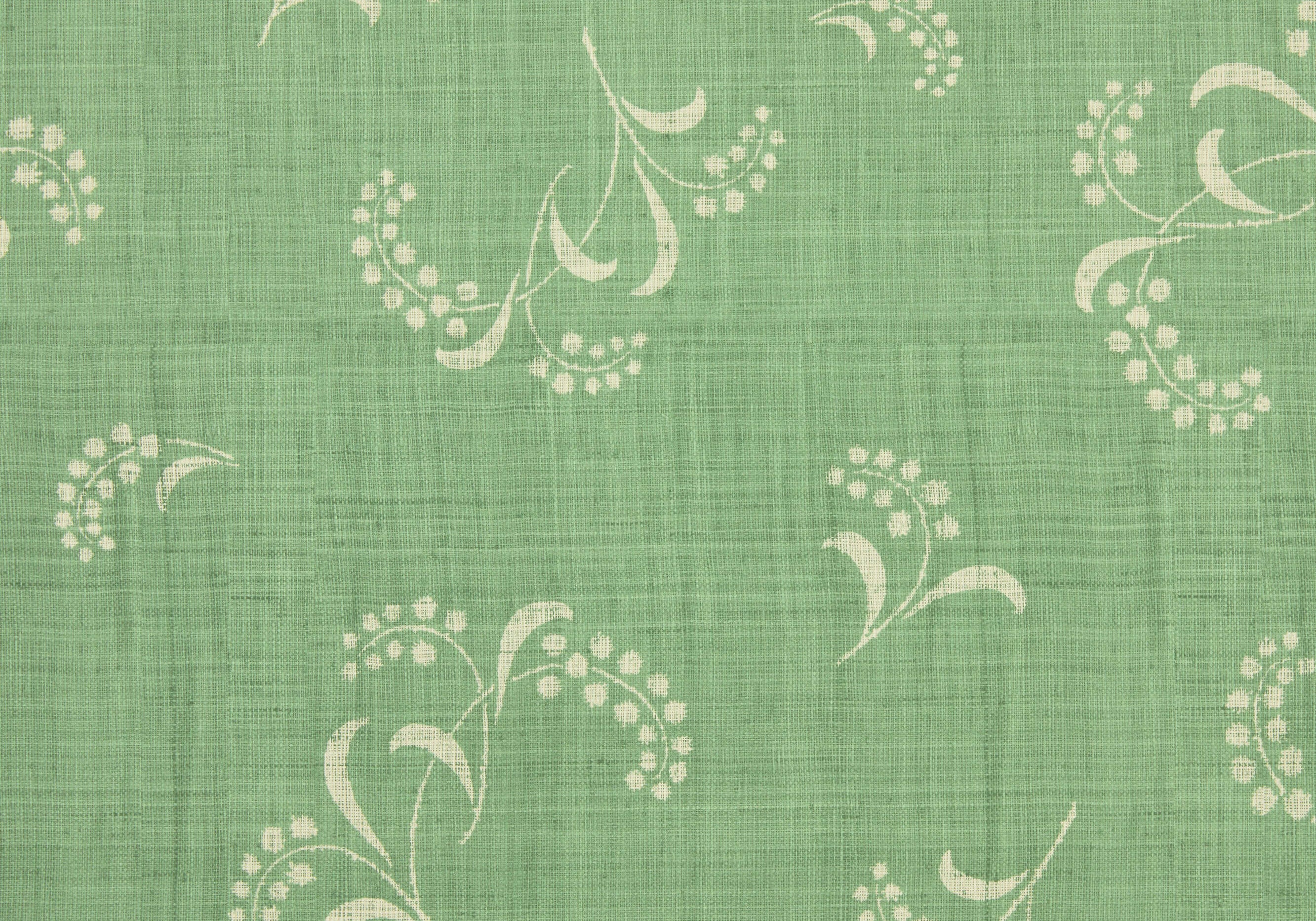 Mimosa Raffia - Grass