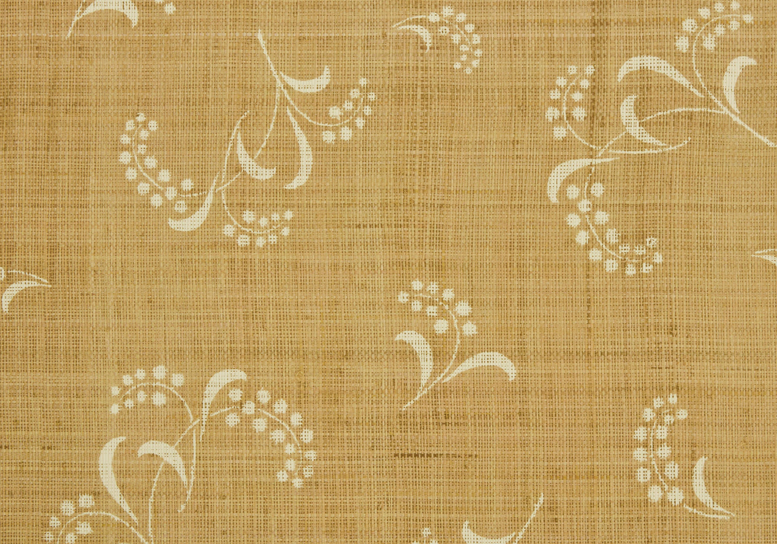 Mimosa on Natural - Cream