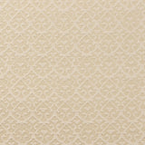 Tamar Woven - Ivory