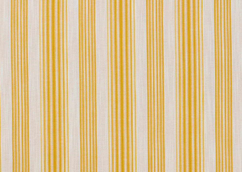 Tent Stripe - Yellow