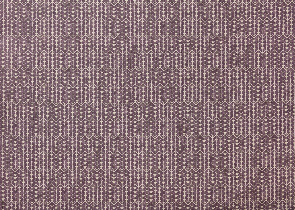 Amazon - Aubergine