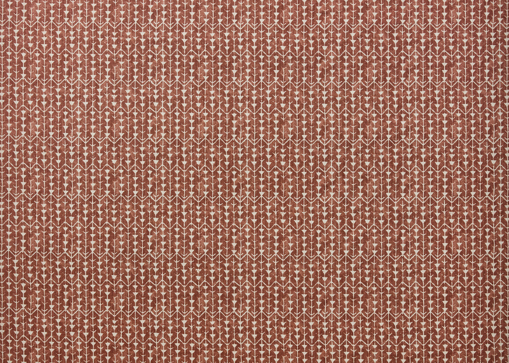 Amazon - Burnt Orange