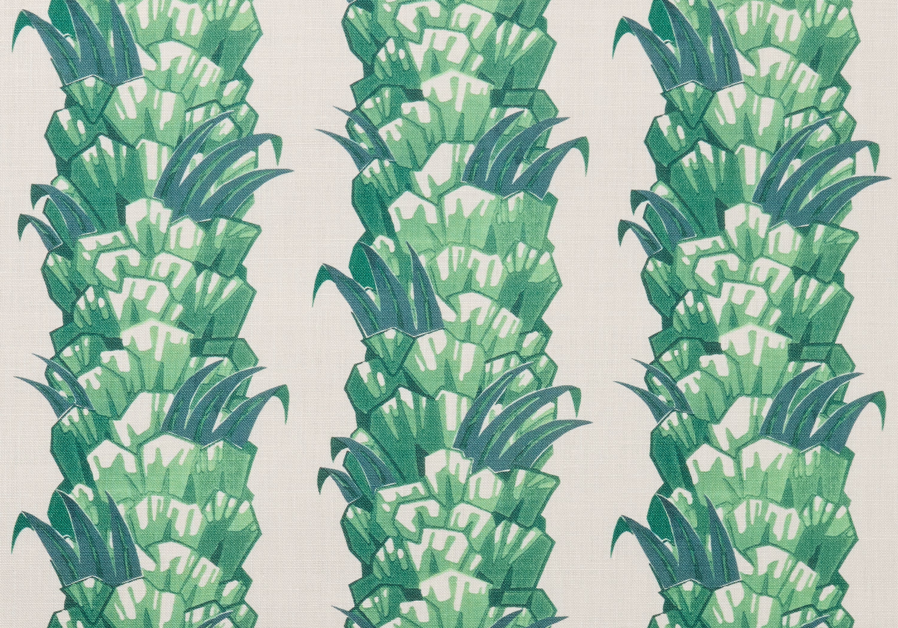 Palmetto - Jungle